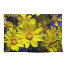 Cas d'Accessorie de soleil de l'Orégon Trousses À Accessoires De Voyage