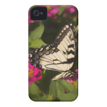 Cas de Coque-Compagnon de plaisir de papillon Coque iPhone 4