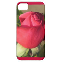 Cas de l'iPhone 5 de bourgeon de rose rouge Coque Case-Mate iPhone 5