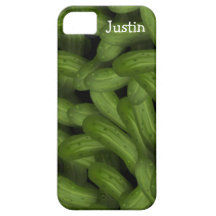 Cas de l'iPhone 5 de conserves au vinaigre Étui iPhone 5