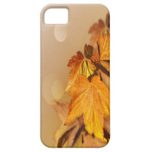 Cas de l'iPhone 5 de jour de thanksgiving Coques Case-Mate iPhone 5