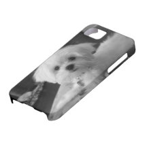 cas de l'iPhone 5 - photo Coque iPhone 5 Case-Mate