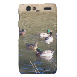 Cas de Motorola Droid RAZR de Coque-Compagnon à pe coques case-mate