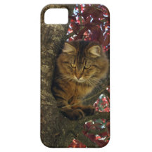 Cas pelucheux de l'iPhone 5 d'Animal-amants de cha Étui iPhone 5
