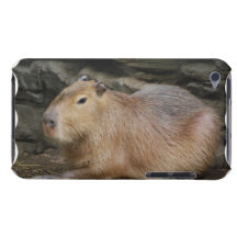 Cas sauvage d'iTouch de Capybara Étuis iPod Touch