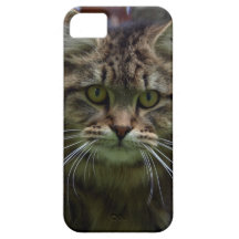 Cas tigré pelucheux de l'iPhone 5 de chat de ragon Coque Case-Mate iPhone 5