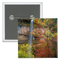 Cascade, Acer d'érable de bigtooth Pin's Avec Agrafe