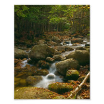 Cascade de forêt photo sur toile