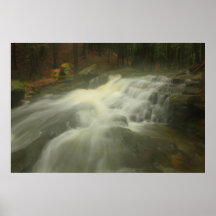 Cascade en ruisseau de Buffam de brume Affiche