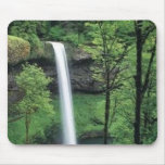 Cascade entourée par des verts luxuriants tapis de souris