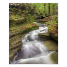 Cascade Photo