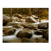 Cascade  Postcard