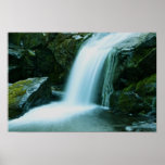 Cascade Posters