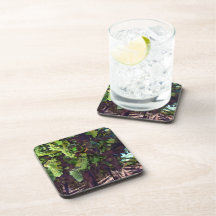 Cascading Grapes Beverage Coasters