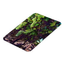 Cascading Grapes Vinyl Magnets