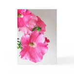 Cascading Pink Petunias cards