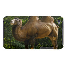 Case Barely There iPod Cases