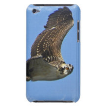 Case Barely There iPod Covers
