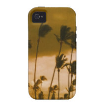 Case-Mate iPhone 4/4S -Beach Palms iPhone 4 Cover
