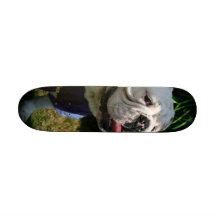 Casper Planche À Roulette