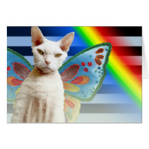 Casper Rainbow fairy | Devon Rex Cat Birthday Card