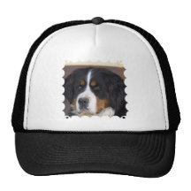Casquette de baseball de Berner Sennenhund