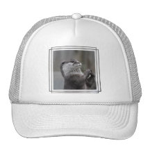 Casquette de baseball de cerveau de loutre