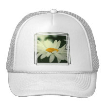 Casquette de baseball de marguerite