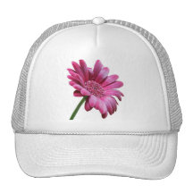 Casquette de baseball de marguerite de Gerbera