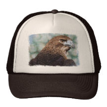 casquette de faucon de Rouge-queue