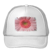 Casquettes de baseball de marguerite de rose en pa