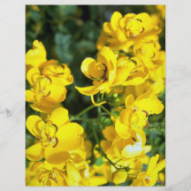 casse de Chute-floraison Prospectus En Couleur