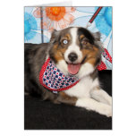 Cassie - Mini Australian Shepherd Greeting Cards