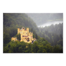 Castle inThe Trees Photo Print