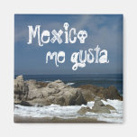 Castles in the Sand; Mexico Souvenir Fridge Magnet