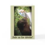 Casual Get Together Cocktail Party invitation Greeting Cards