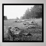 Casualties During the Battle of Gettysburg 1863 Poster