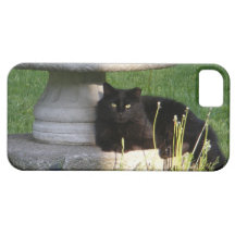 Cat 120 ~ iPhone 5 CaseMate case