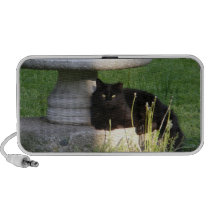 Cat 120 ~ speaker