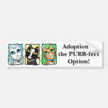 Cat Adoption Triptych Bumper Sticker