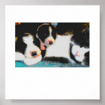 cat and 2 puppies sleeping poster