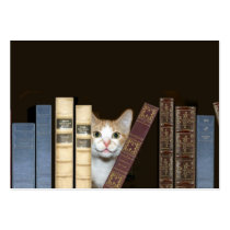Cat and books business card template