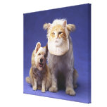 Cat and dog with masks gallery wrap canvas