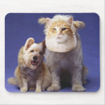 Cat and dog with masks mouse pads