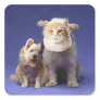 Cat and dog with masks sticker