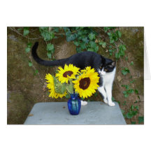 cat and flowers card