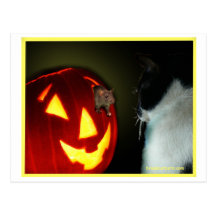 Cat and Mouse Halloween Postcard