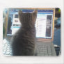 Cat and mouse pad