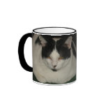 Cat and Panda Friends Coffee Mug