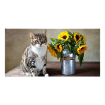 Cat and Sunflowers Customized Photo Card